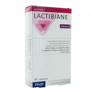 Pileje lactibiane tolerance