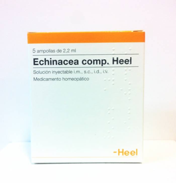 echinacea comp heel